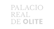 logo-palaciolite2
